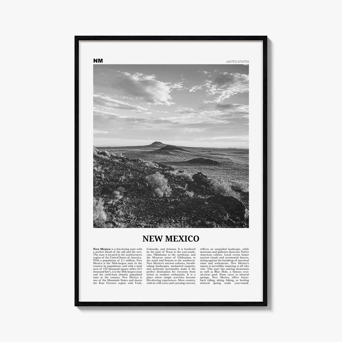 New Mexico Newspaper No 2 Poster