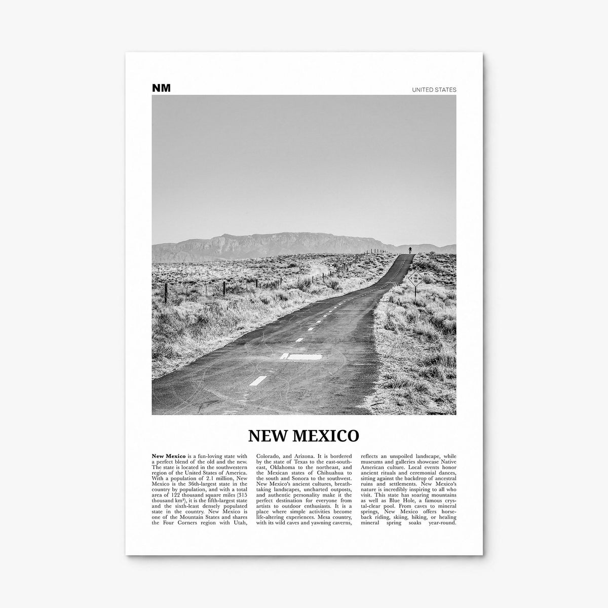 New Mexico Newspaper No 1 Poster, print only (unframed)