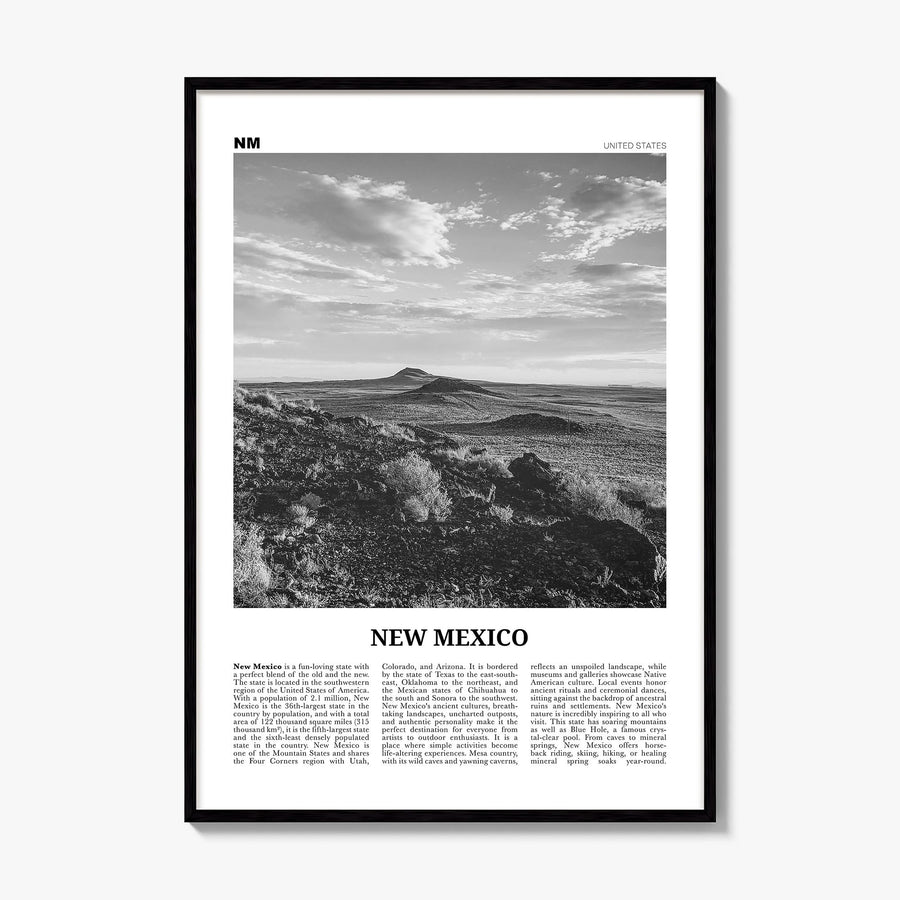 New Mexico Newspaper No 2 Poster, framed poster mockup