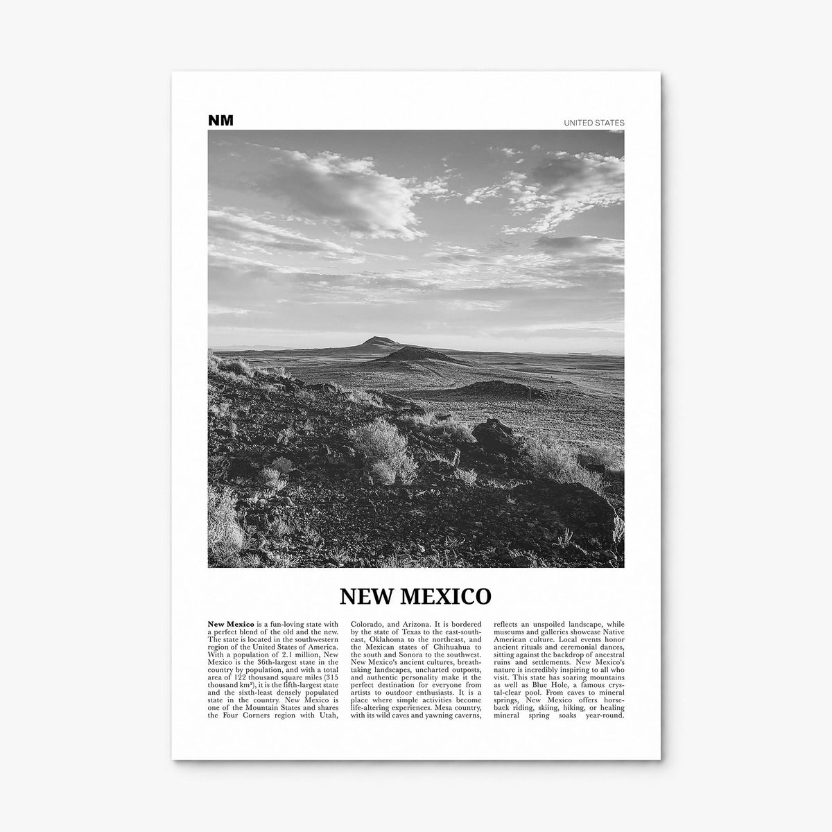 New Mexico Newspaper No 2 Poster, print only (unframed)
