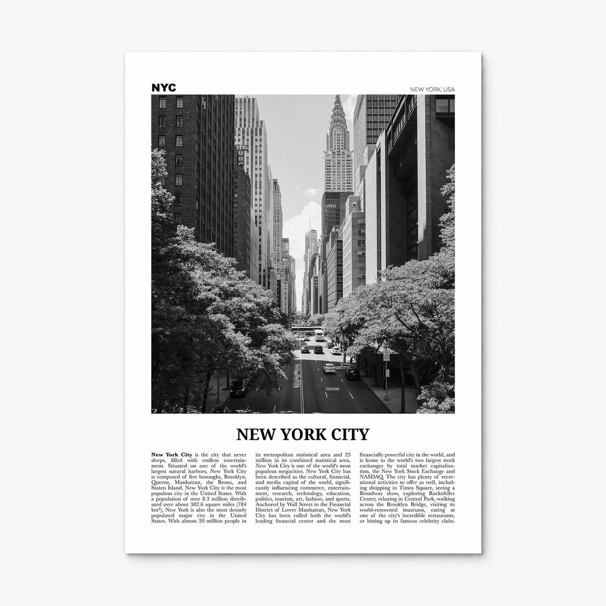 New York City Newspaper No 4 Poster, print only (unframed)