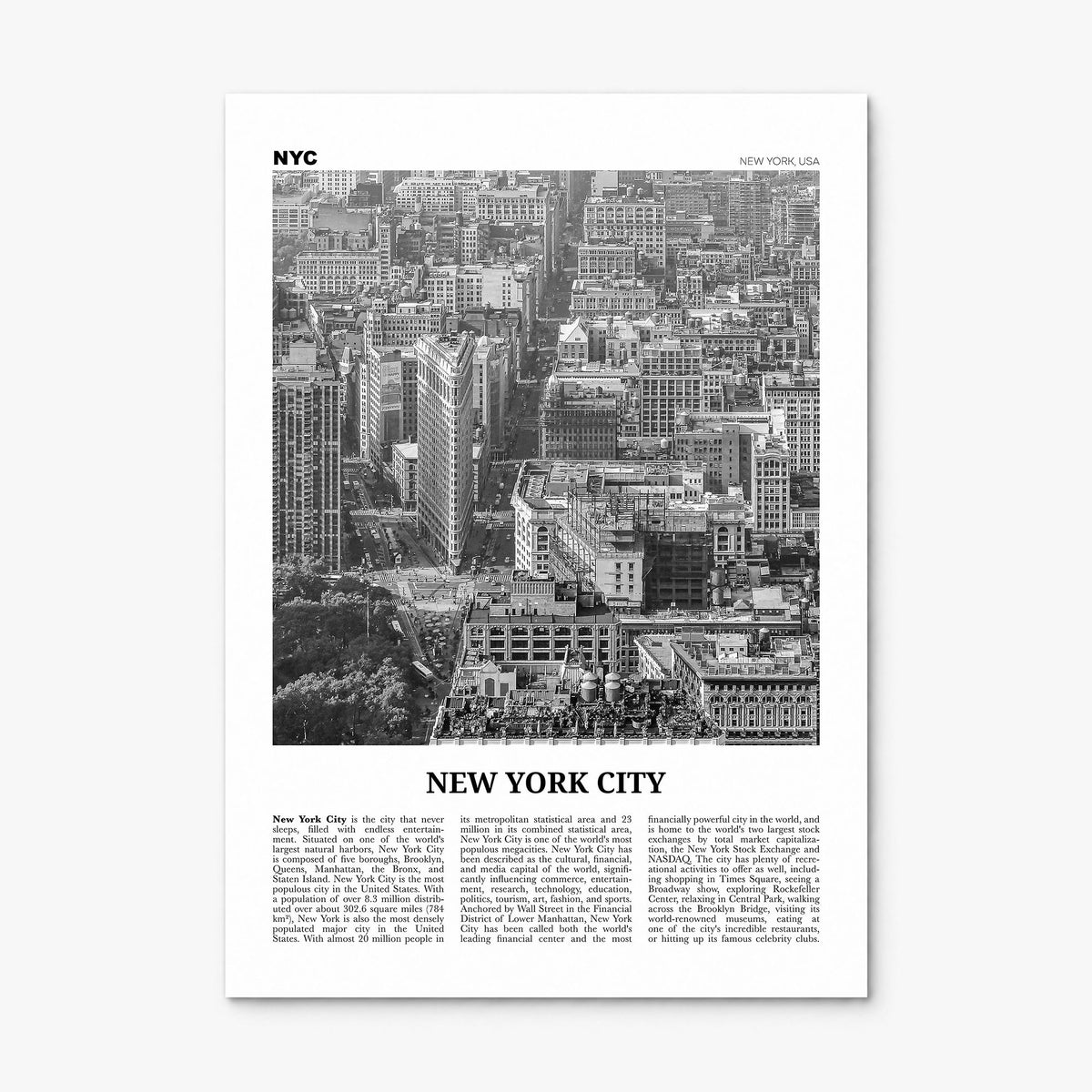 New York City Newspaper No 6 Poster, print only (unframed)