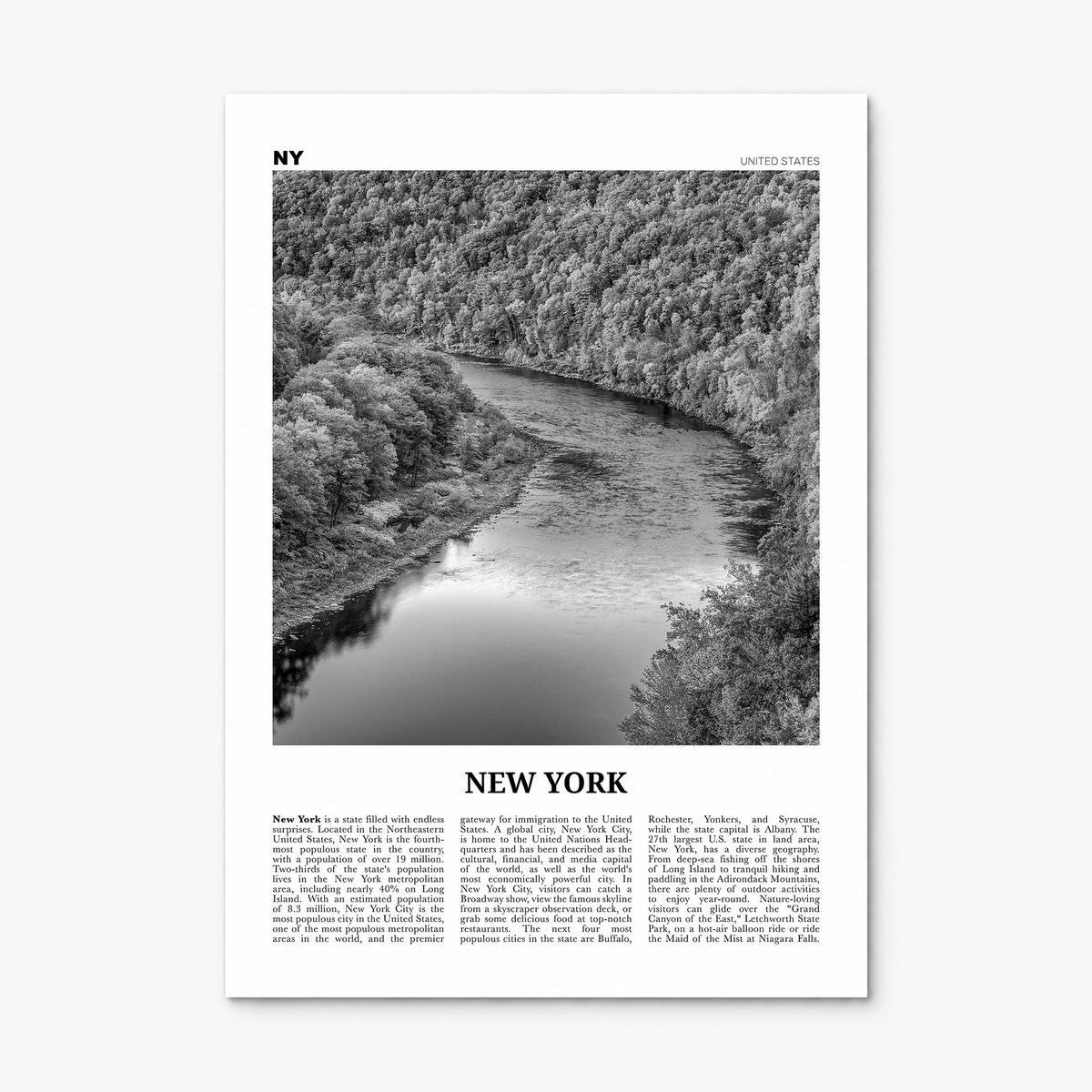 New York (State) Newspaper No 2 Poster, print only (unframed)