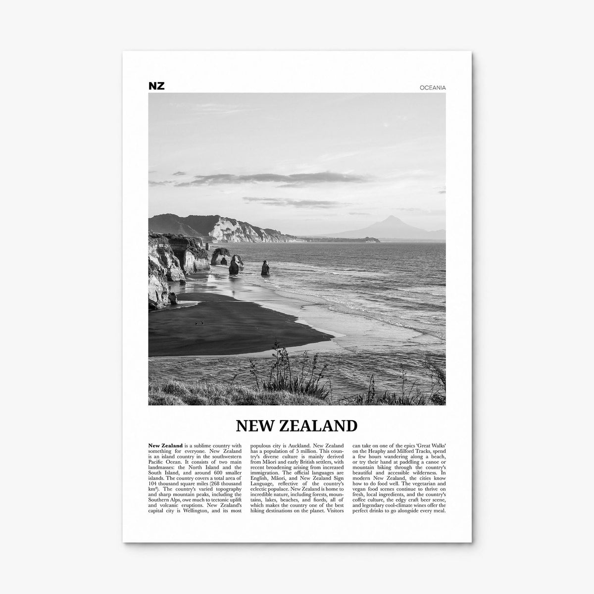 New Zealand Newspaper No 2 Poster, print only (unframed)
