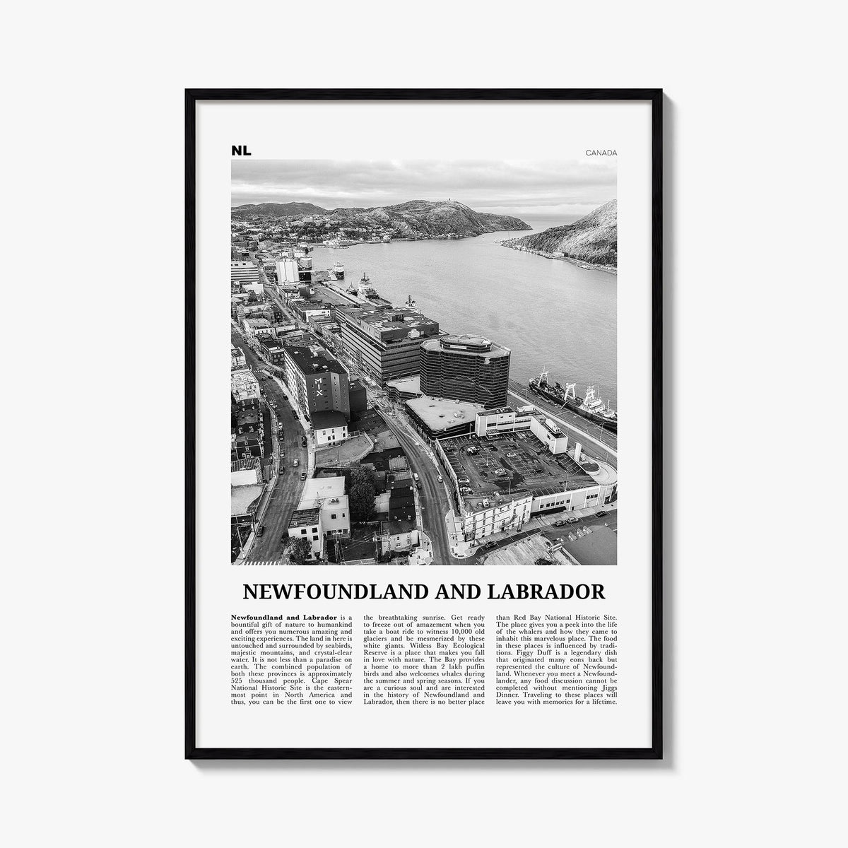 Newfoundland and Labrador Newspaper Poster