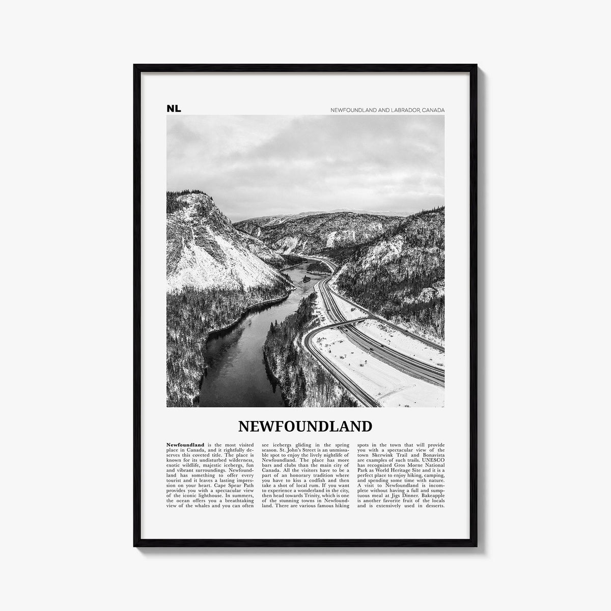 Newfoundland Newspaper Poster
