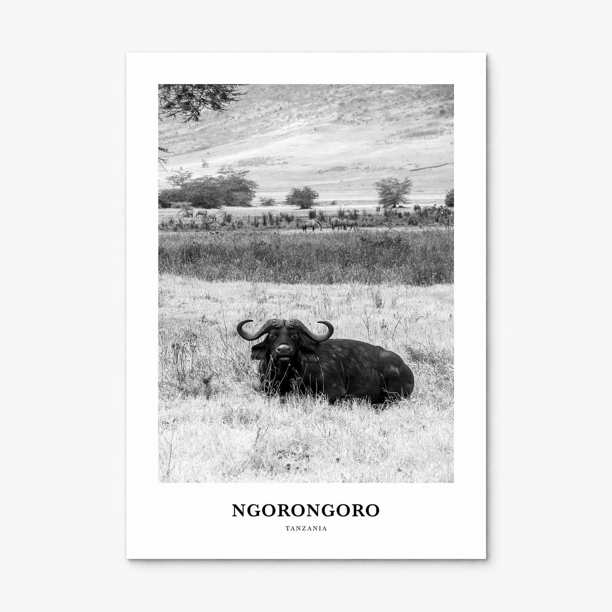 Ngorongoro Classic Poster, print only (unframed)