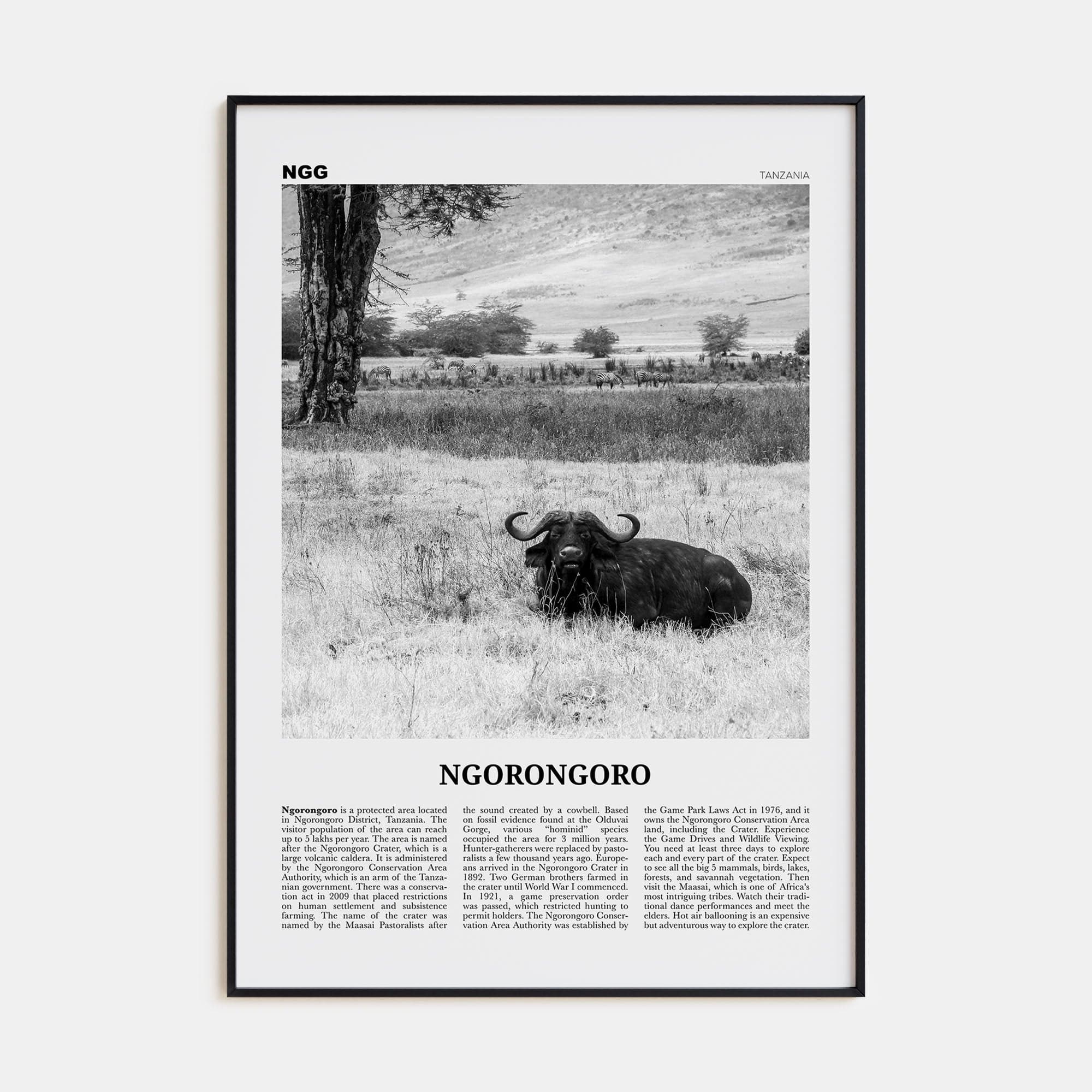 Ngorongoro Poster None / 8x12 in Nbourhood Travel B&W Poster