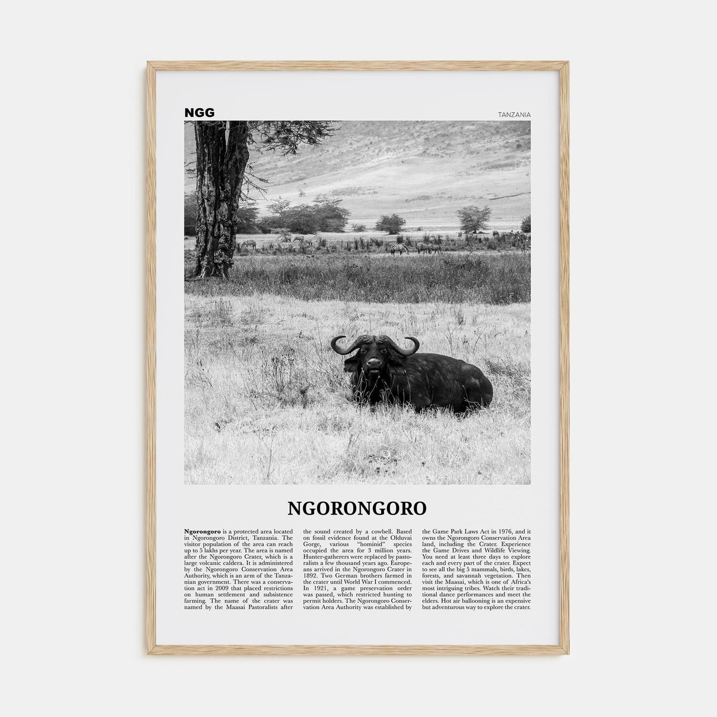 Ngorongoro Poster Natural Wood / 8x12 in Nbourhood Travel B&W Poster