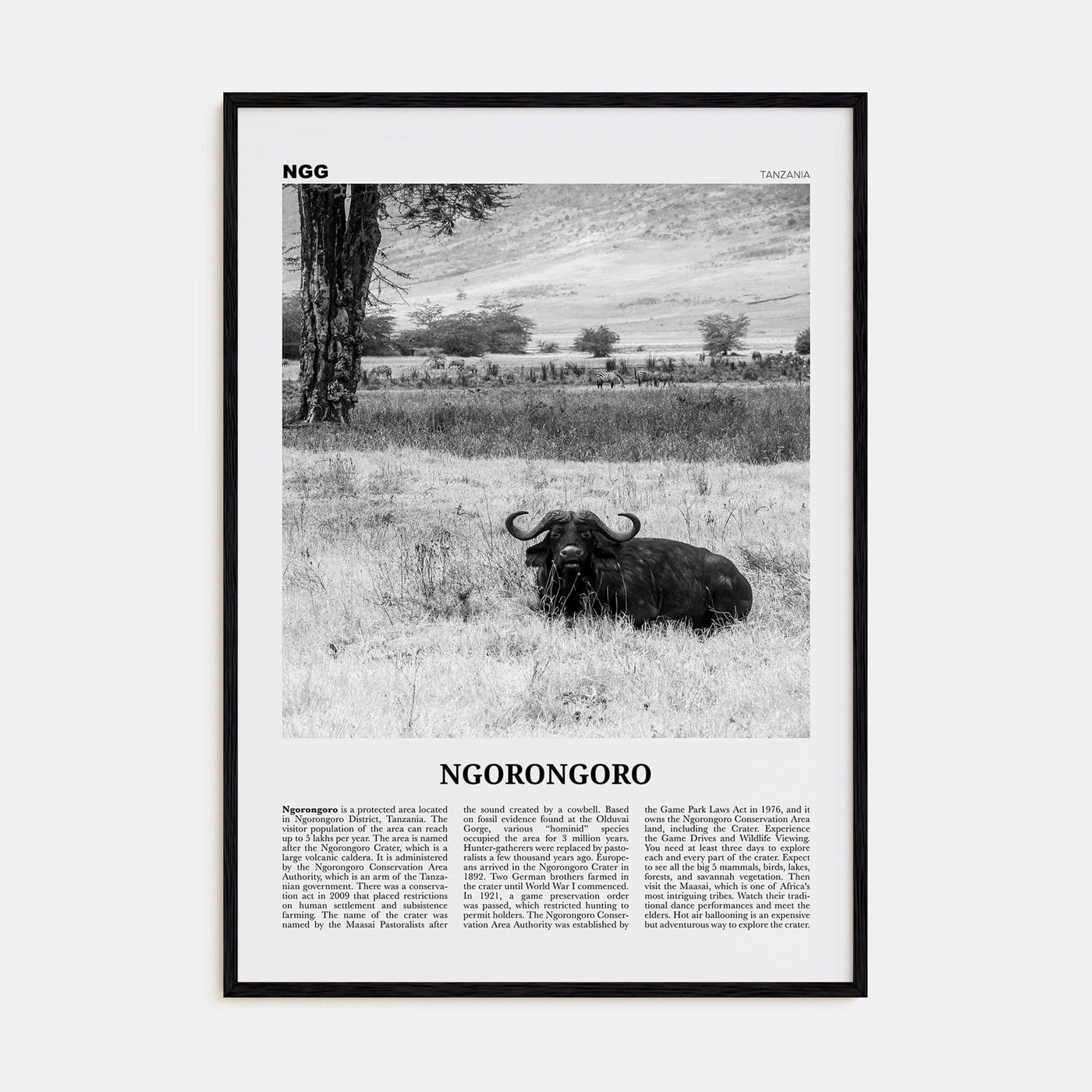 Ngorongoro Poster Black Wood / 8x12 in Nbourhood Travel B&W Poster