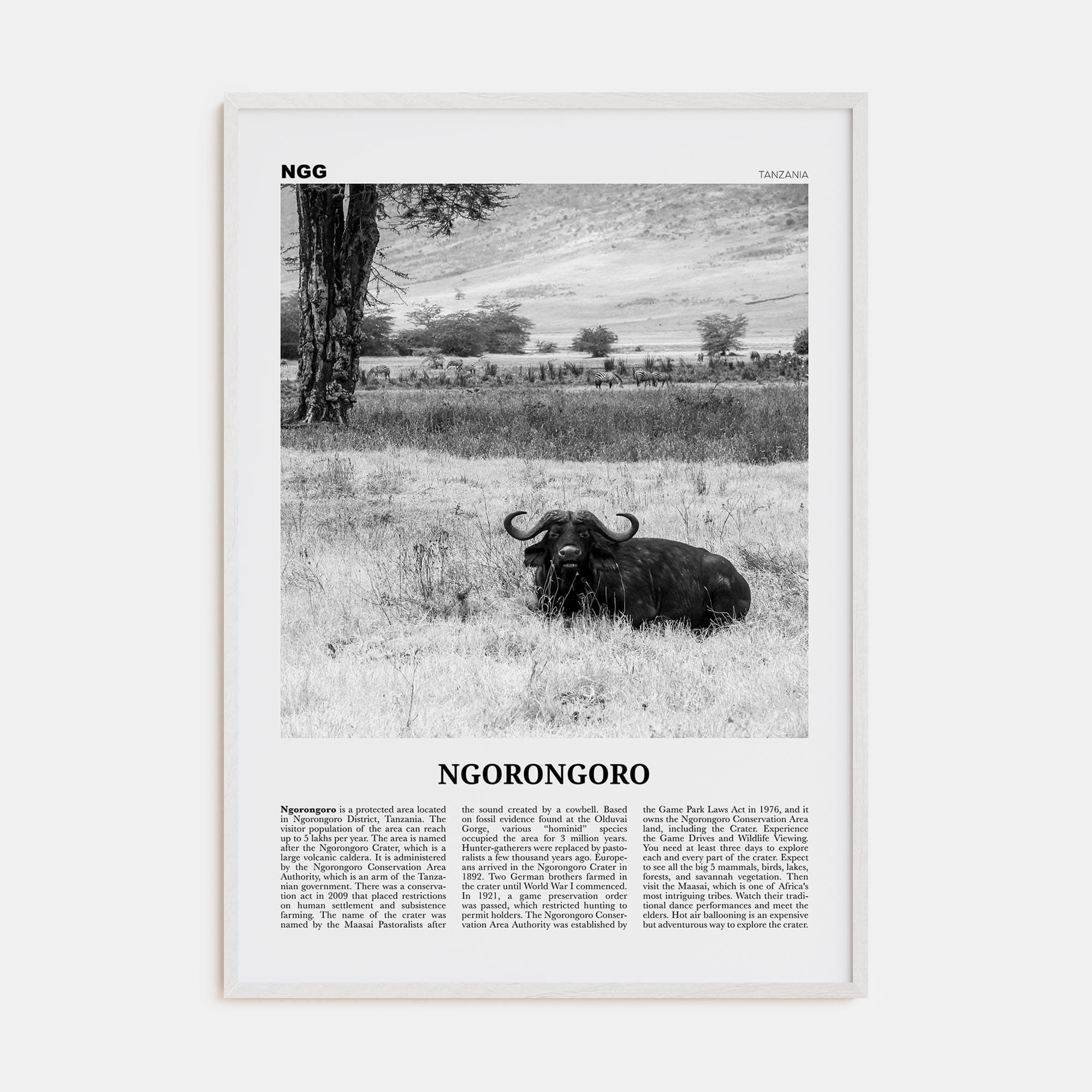 Ngorongoro Poster White Wood / 8x12 in Nbourhood Travel B&W Poster