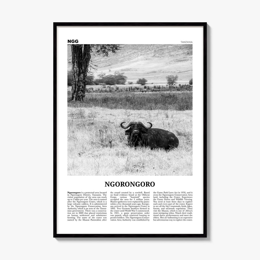 Ngorongoro Newspaper Poster, framed poster mockup