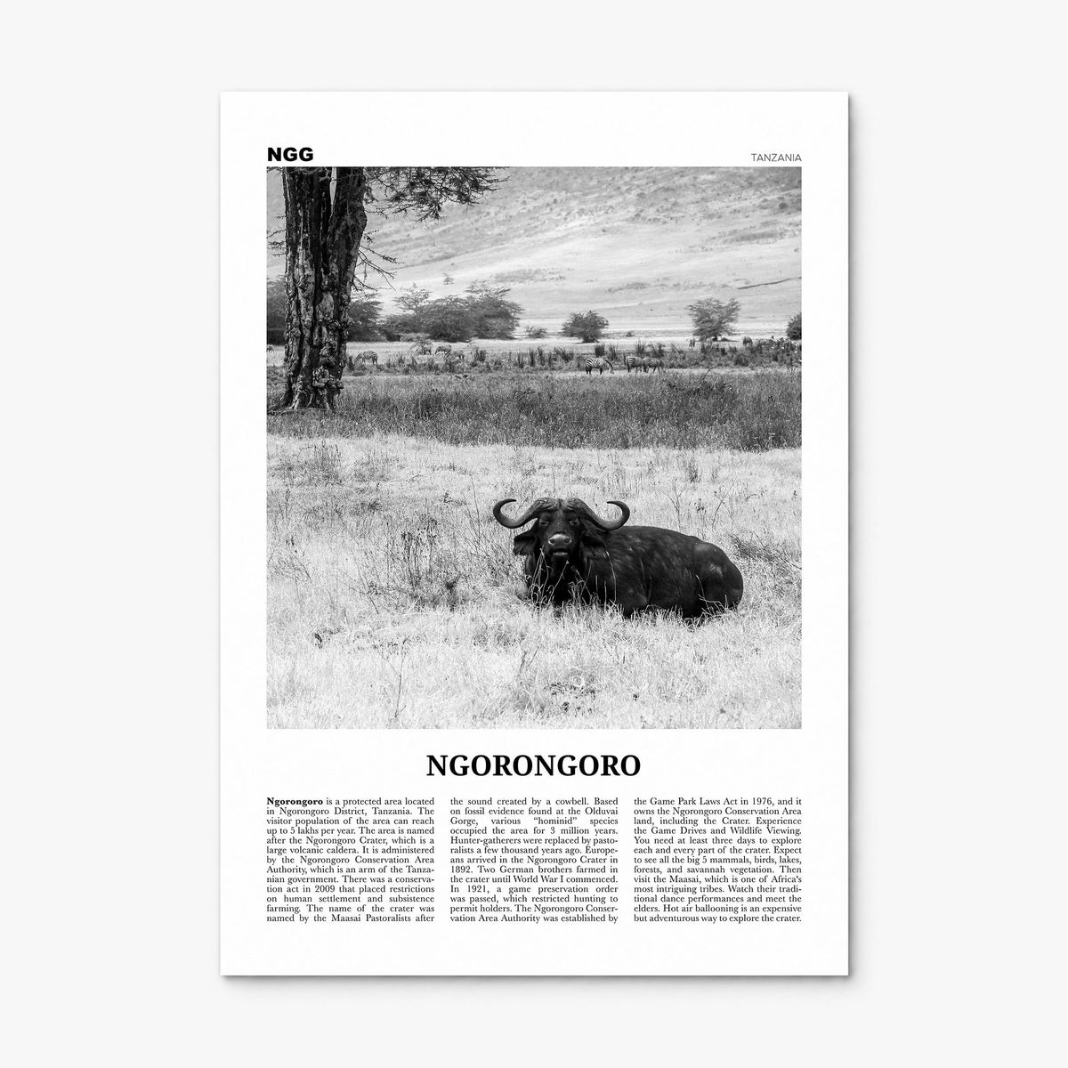 Ngorongoro Newspaper Poster, print only (unframed)