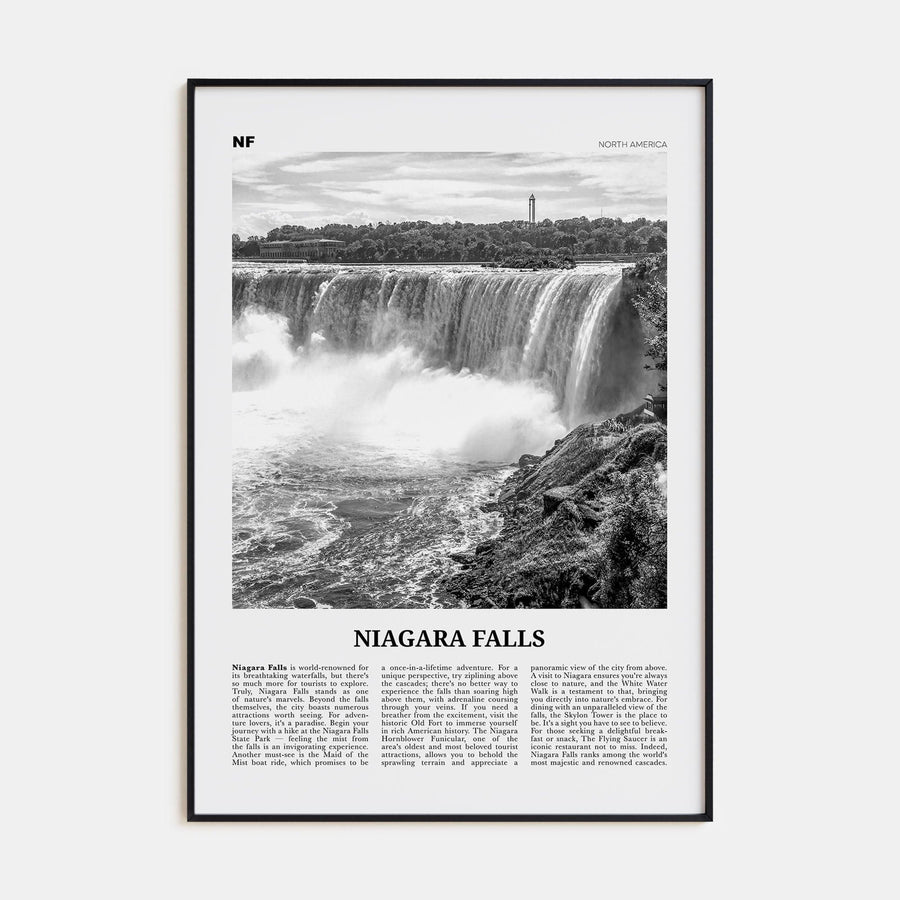 Niagara Falls, North America Poster None / 8x12 in Nbourhood Travel B&W Poster