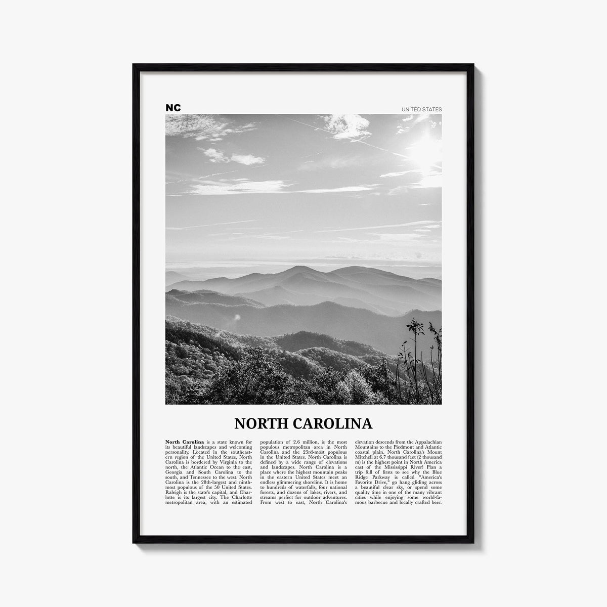 North Carolina Newspaper No 2 Poster