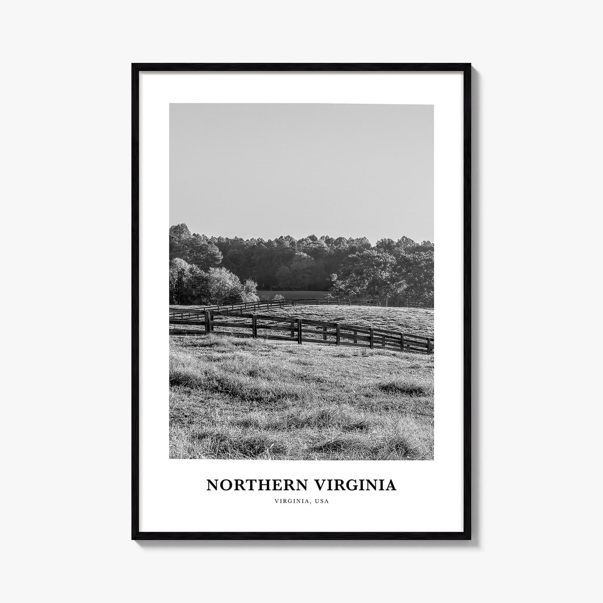 Northern Virginia Classic Poster