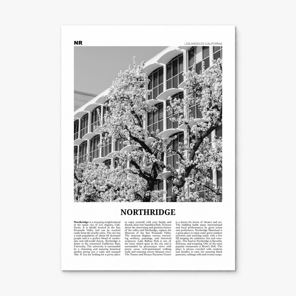 Northridge Newspaper Poster, print only (unframed)