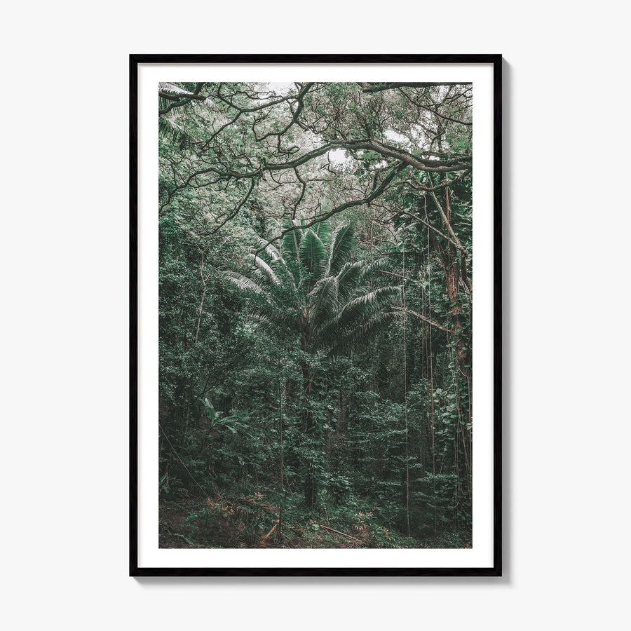 O‘ahu Photo No 3 Poster, framed poster mockup, white border