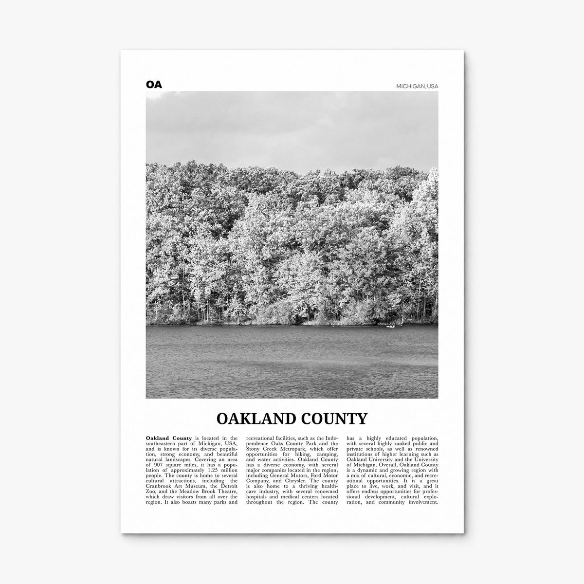 Oakland County Newspaper Poster, print only (unframed)
