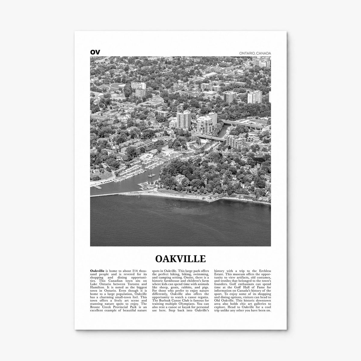 Oakville Newspaper Poster, print only (unframed)