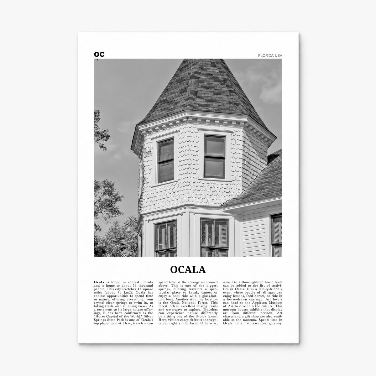 Ocala Newspaper Poster, print only (unframed)