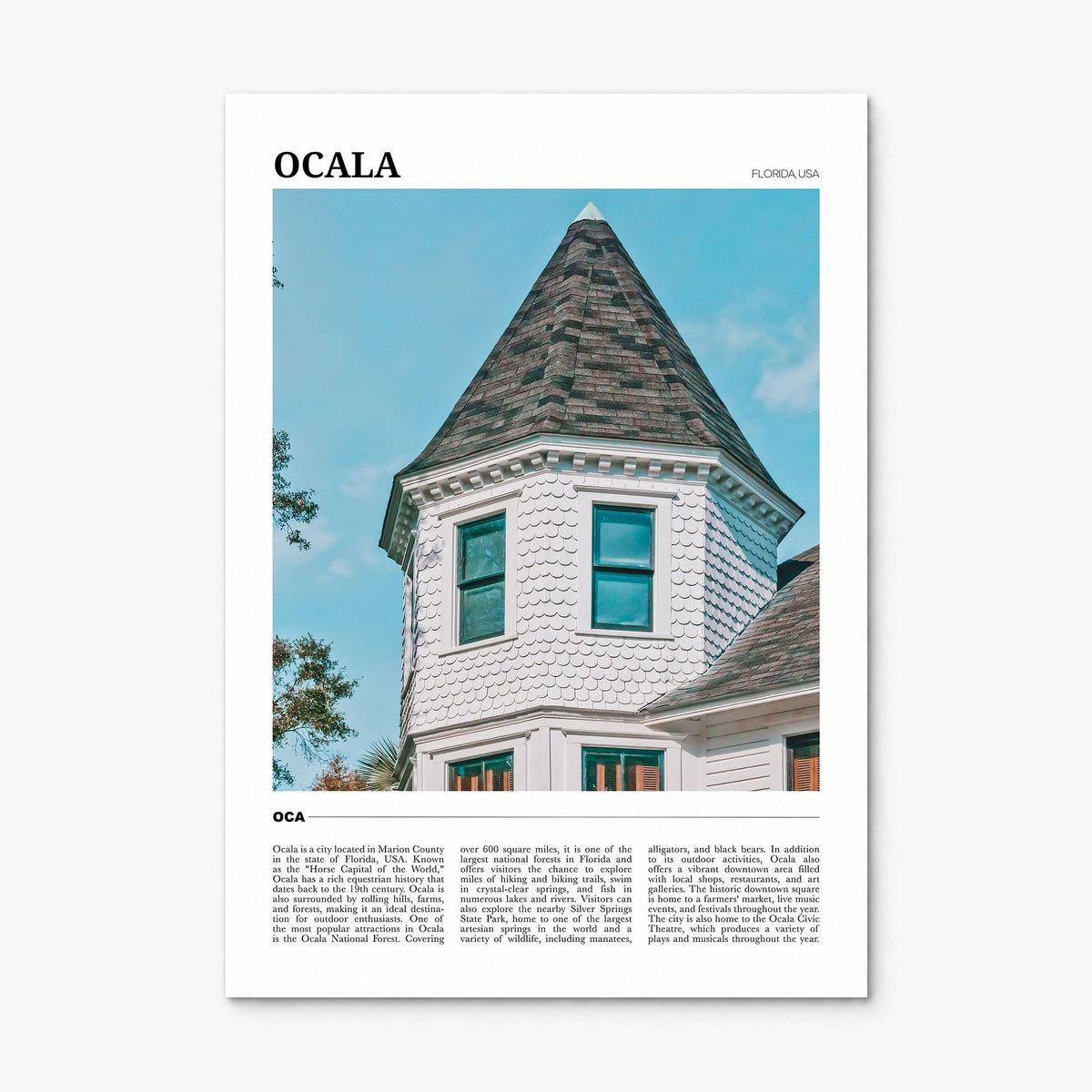 Ocala Travel Poster, print only (unframed)