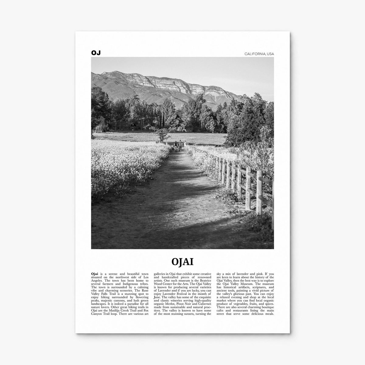 Ojai Newspaper Poster, print only (unframed)