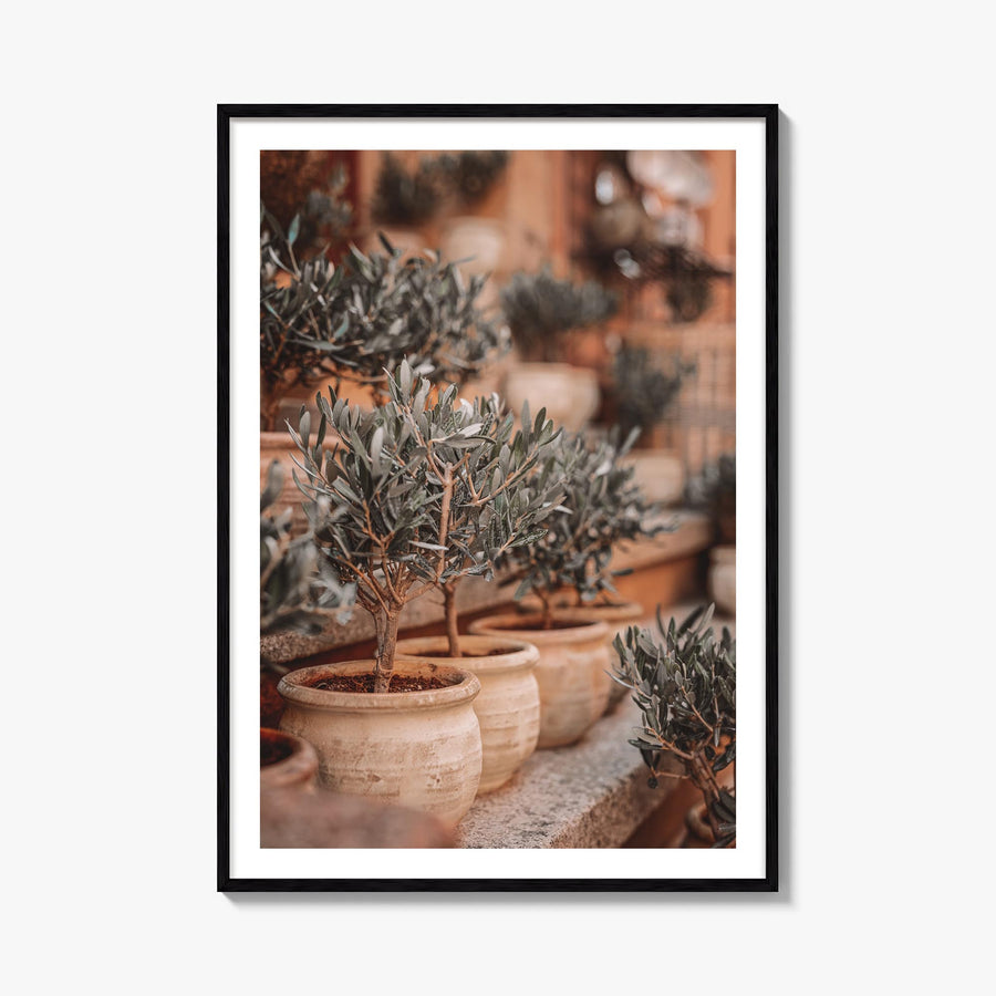 Olive Trees in Clay Pots colorful photo poster – vertical wall art, unframed print shown in interior mockup