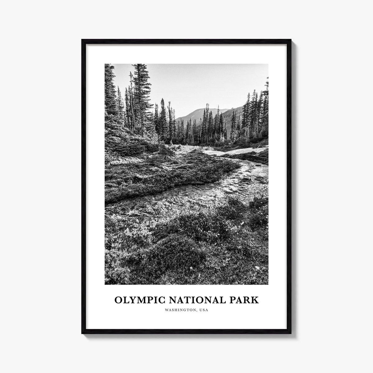 Olympic National Park black & white classic poster of Washington, USA – vertical wall art, unframed print shown in interior m