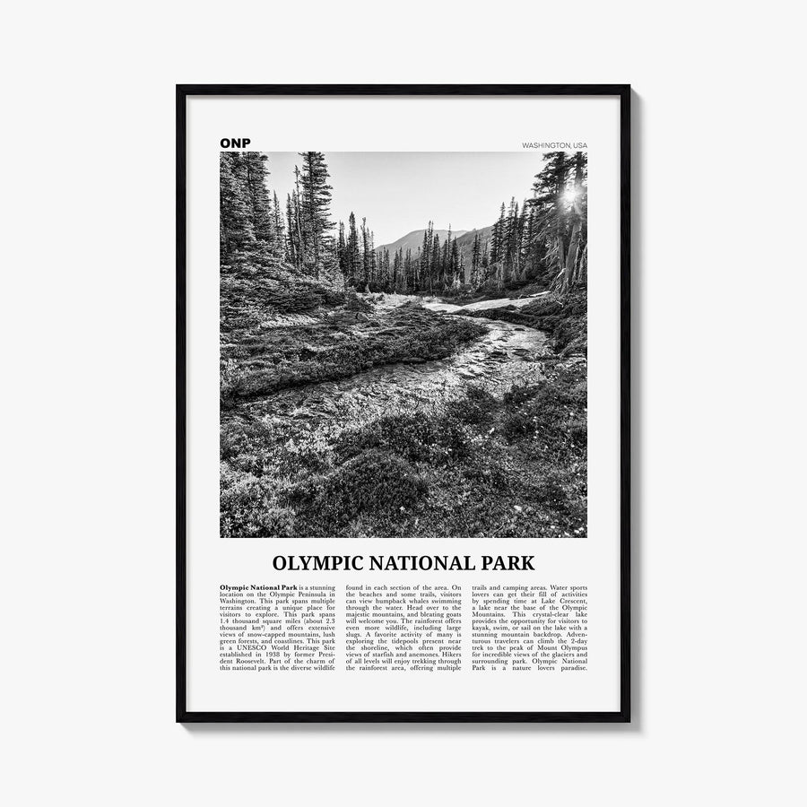 Olympic National Park black & white newspaper poster of Washington, USA – vertical wall art, unframed print shown in interior