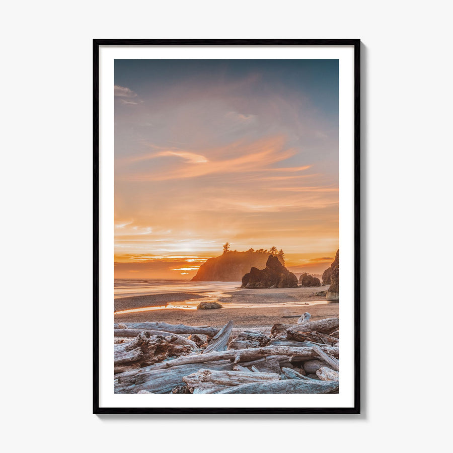 Olympic National Park Photo Poster, framed poster mockup, white border