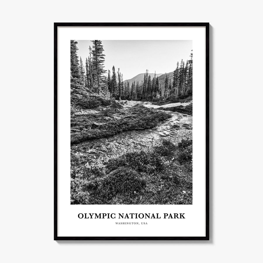 Olympic National Park Classic Poster, framed poster mockup
