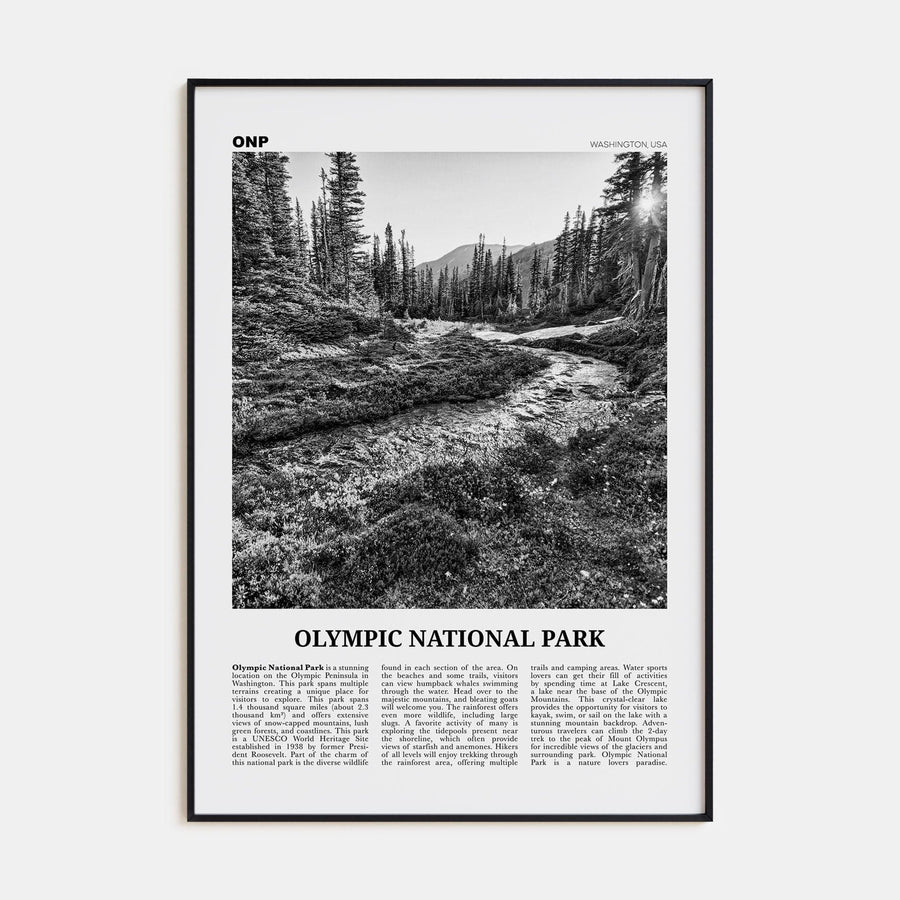 Olympic National Park Poster Black Metal / 8x12 in Nbourhood Travel B&W Poster