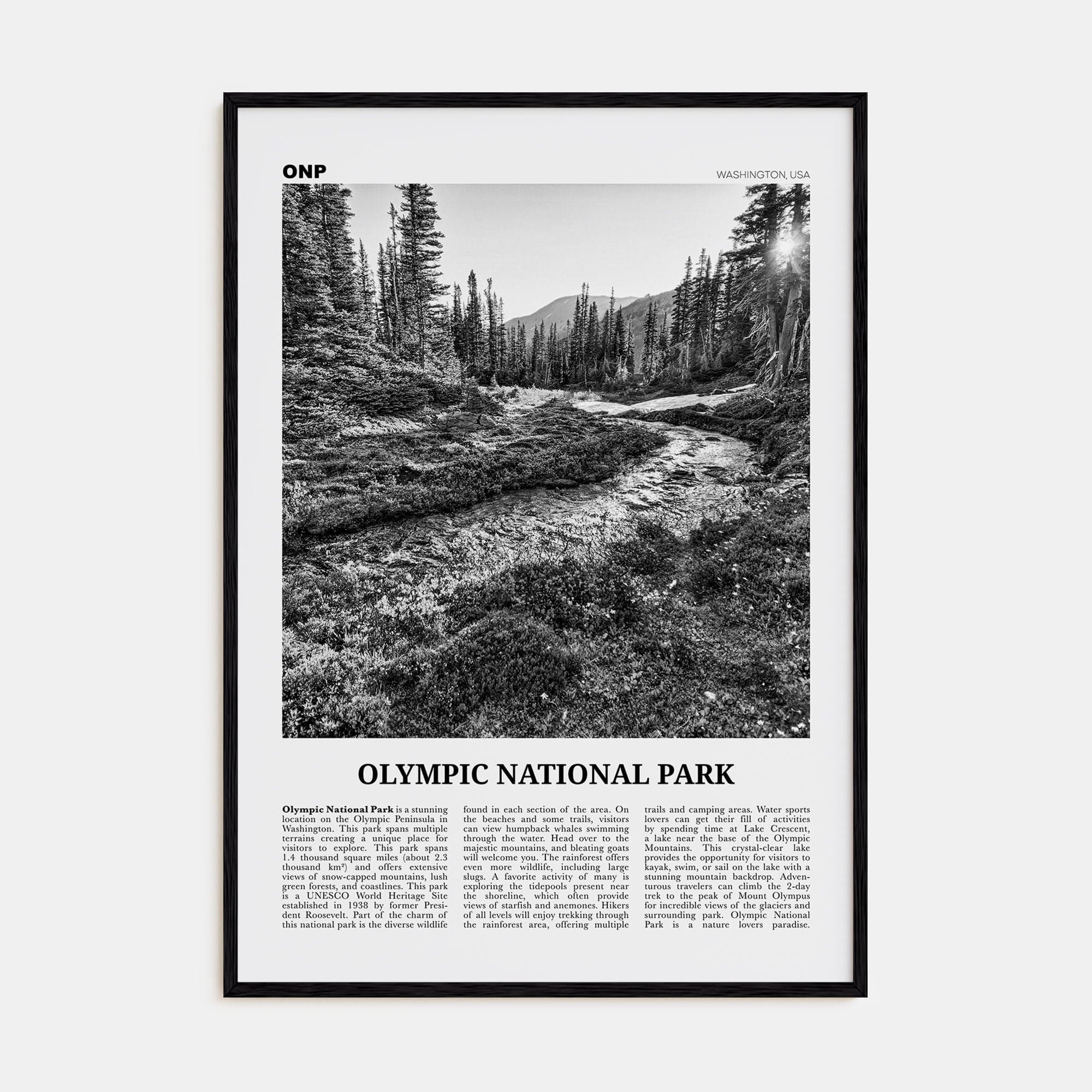 Olympic National Park Poster Black Wood / 8x12 in Nbourhood Travel B&W Poster