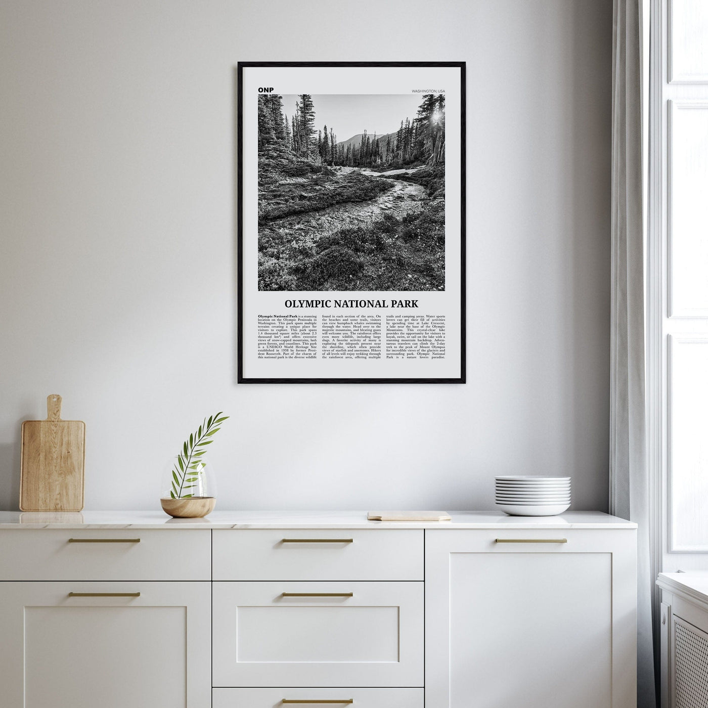 Olympic National Park Poster Nbourhood Travel B&W Poster