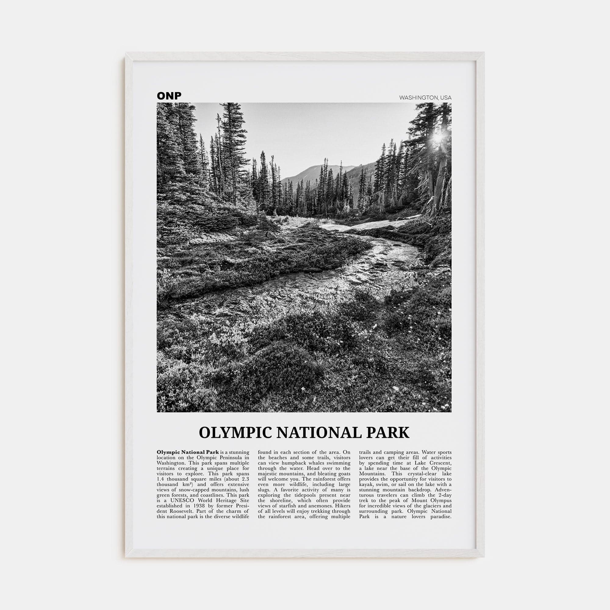 Olympic National Park Poster White Wood / 8x12 in Nbourhood Travel B&W Poster