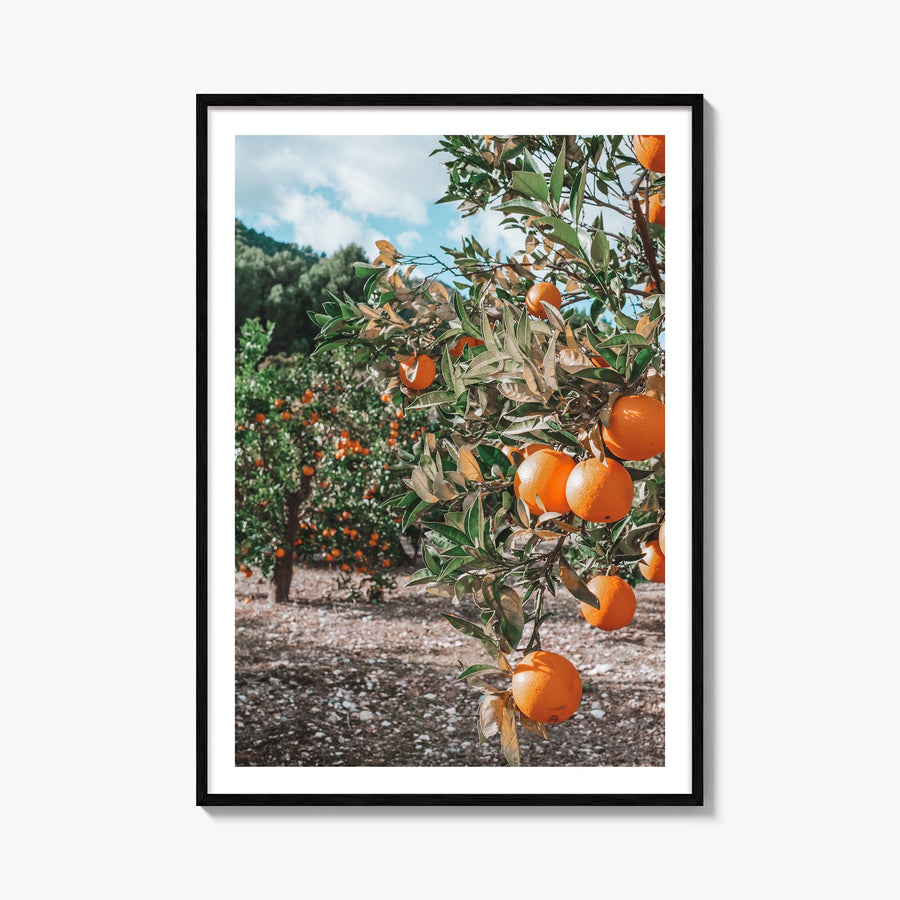 Orange Tree no. 1 colorful photo poster – vertical wall art, unframed print shown in interior mockup
