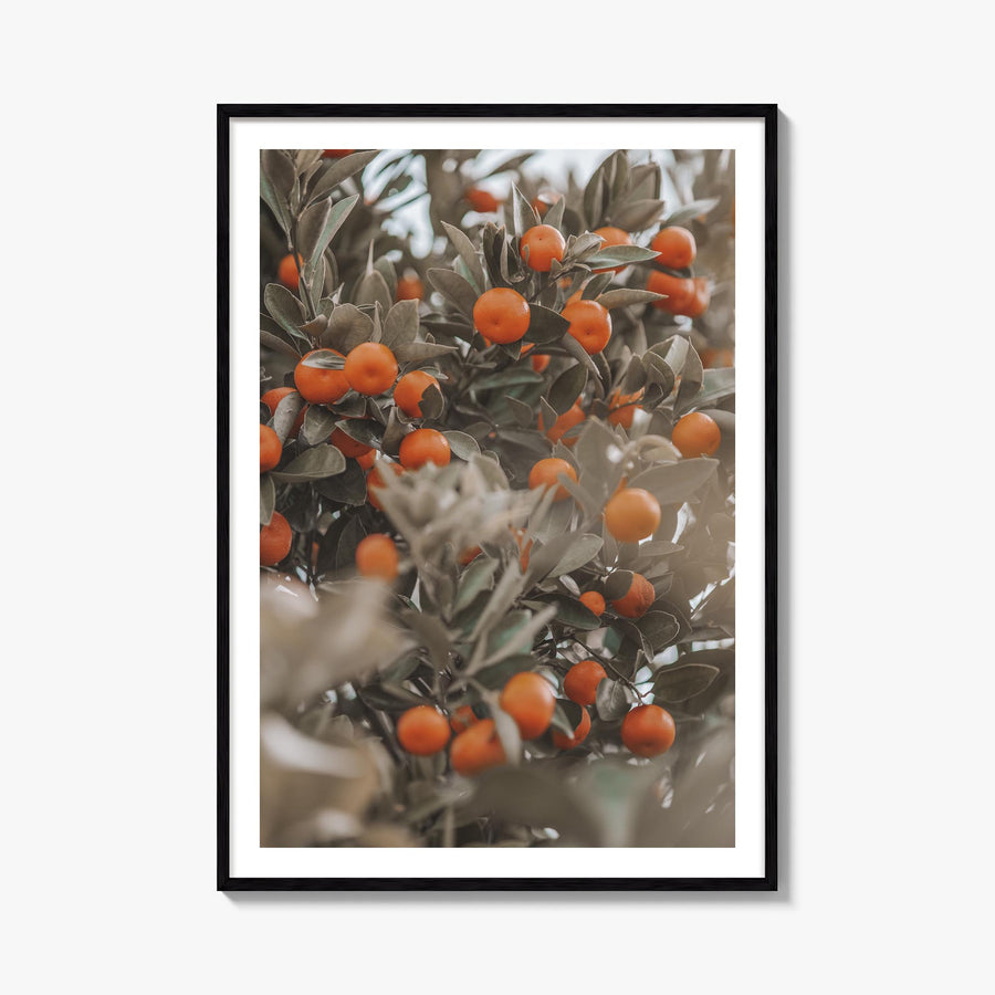 Orange Tree no. 2 colorful photo poster – vertical wall art, unframed print shown in interior mockup