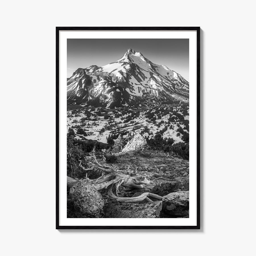 Oregon no. 1 black & white photo poster of United States – vertical wall art, unframed print shown in interior mockup
