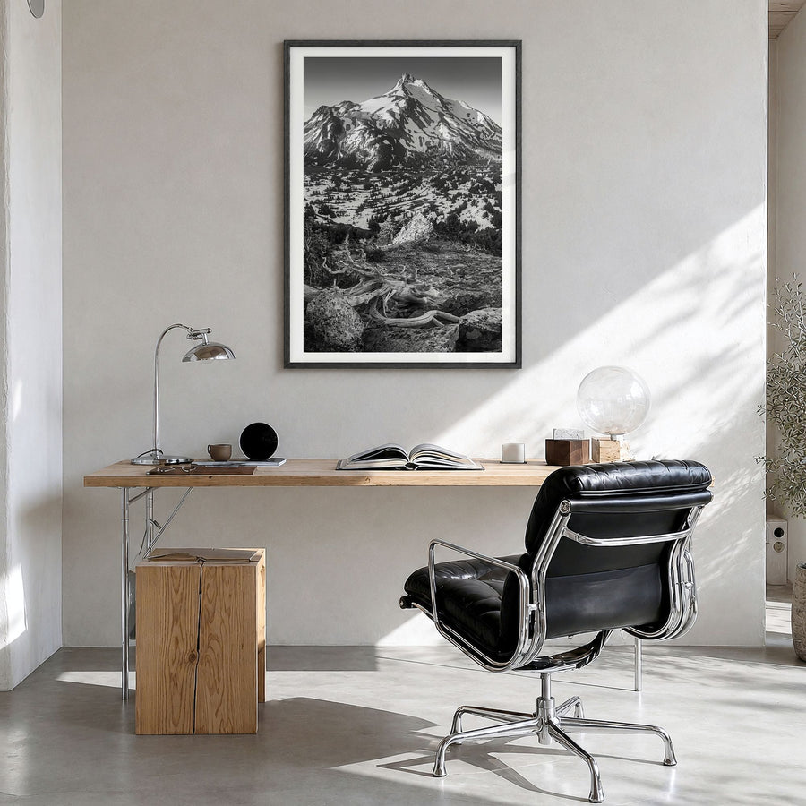 Oregon Photo No 1 Poster in a black wood frame, hanging in a bright home office, white border