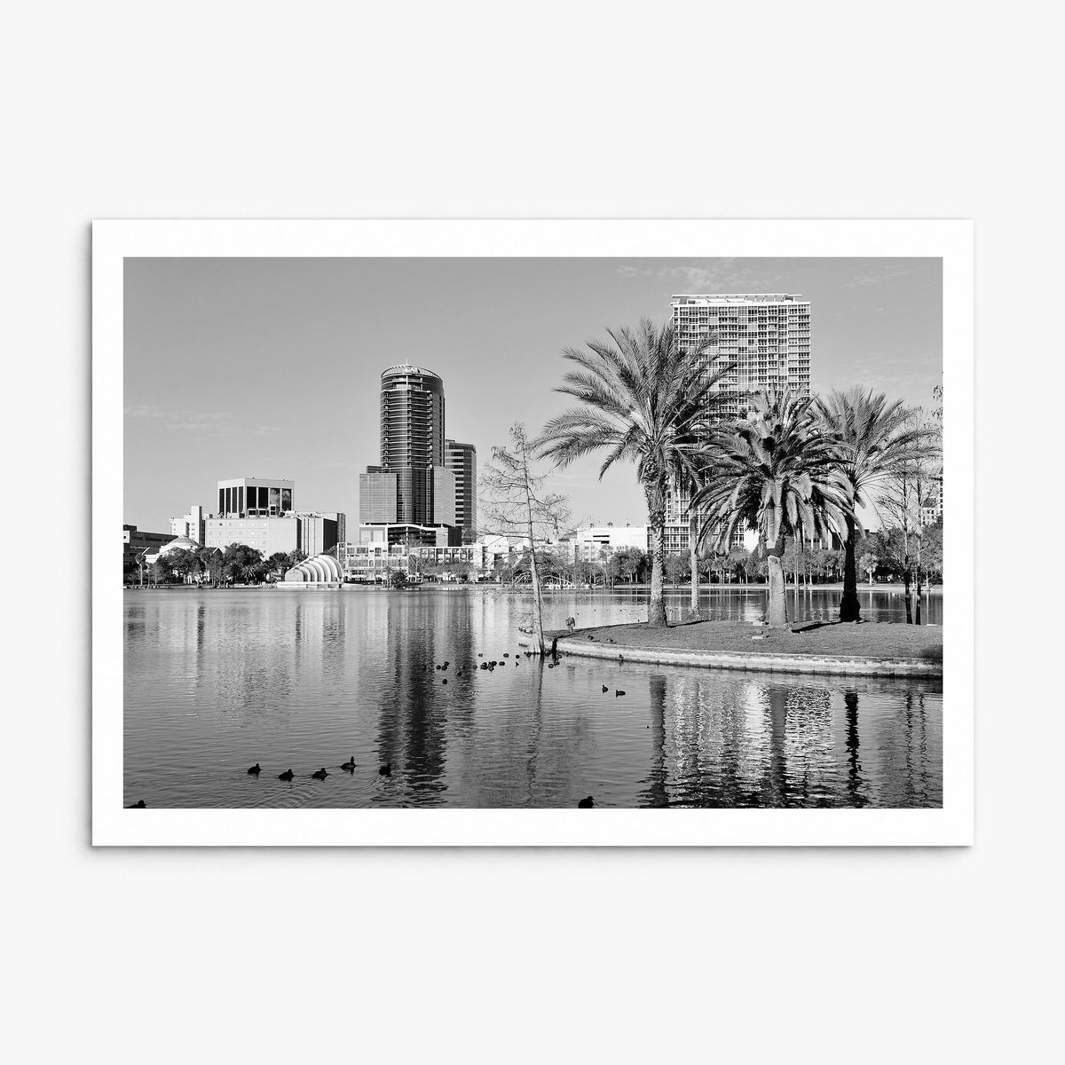 Orlando Photo Poster, print only (unframed), white border