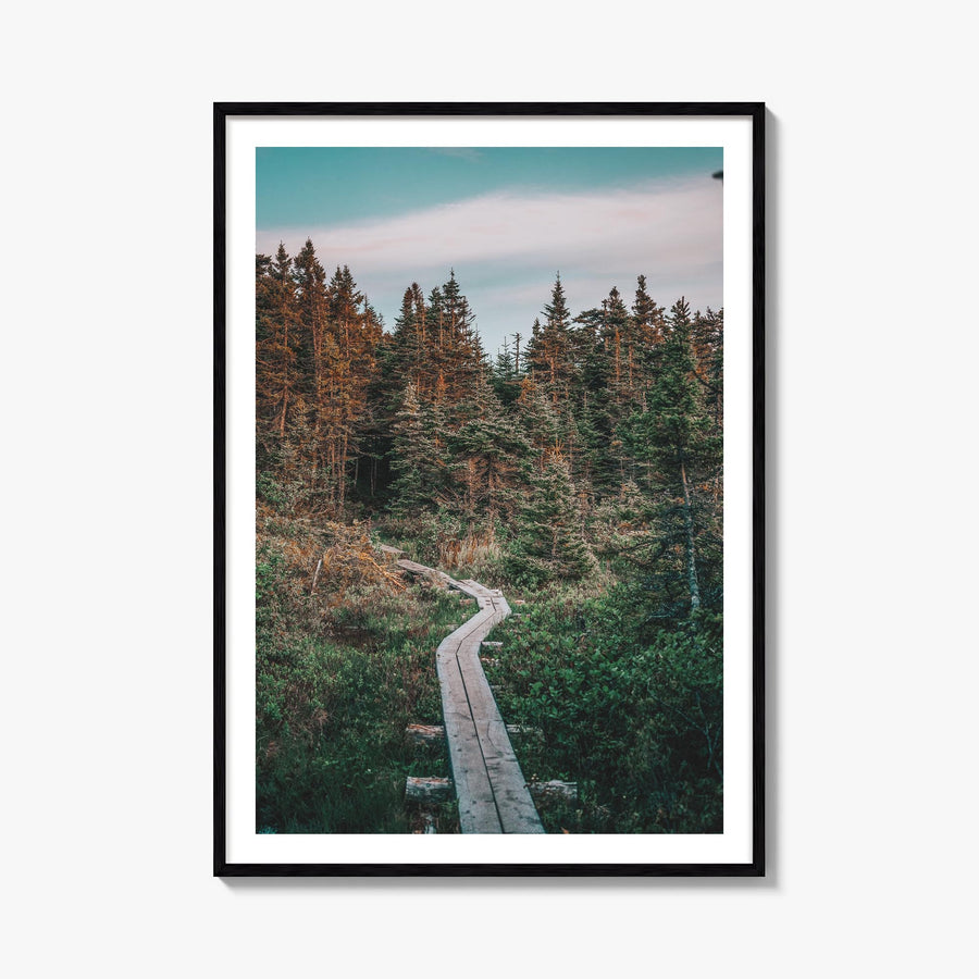 Outer Cove colorful photo poster of Canada – vertical wall art, unframed print shown in interior mockup