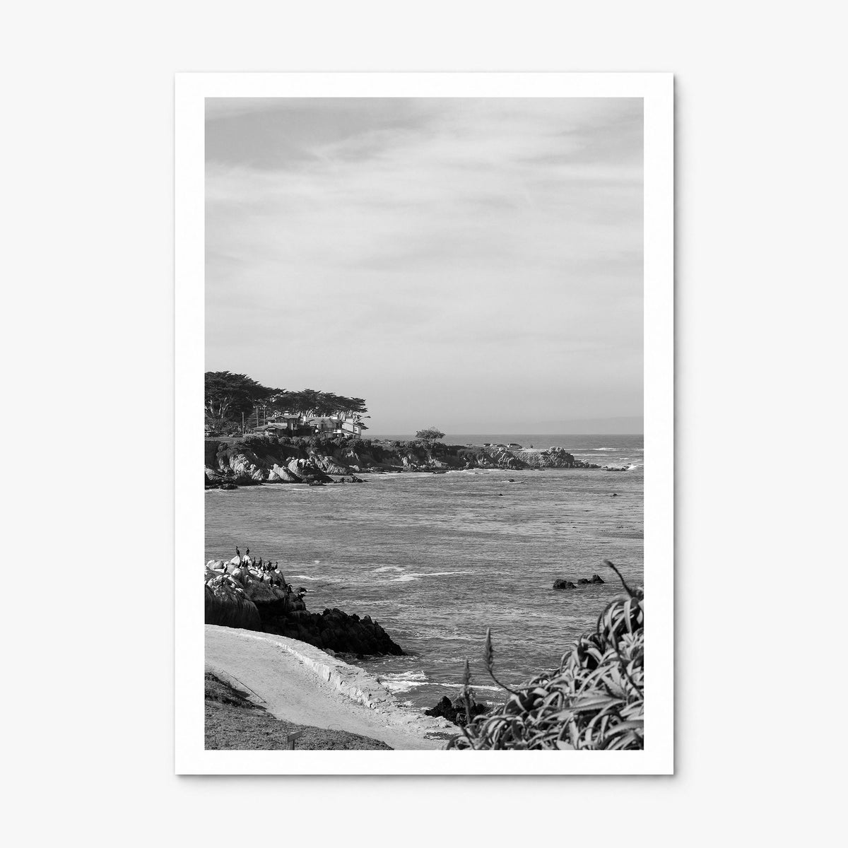 Pacific Grove Photo Poster, print only (unframed), white border