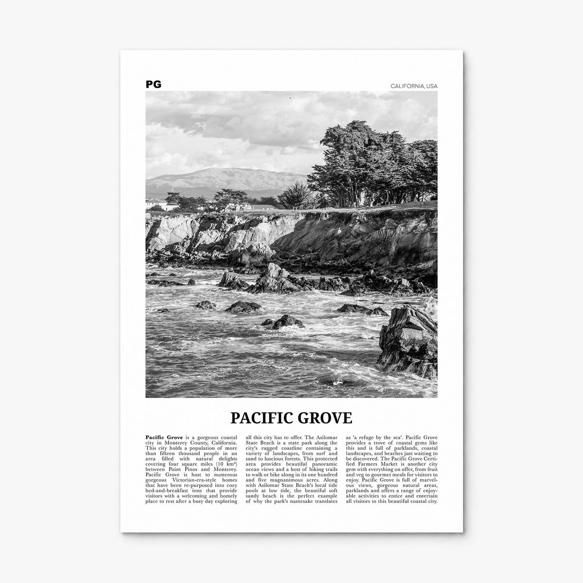 Pacific Grove Newspaper Poster, print only (unframed)