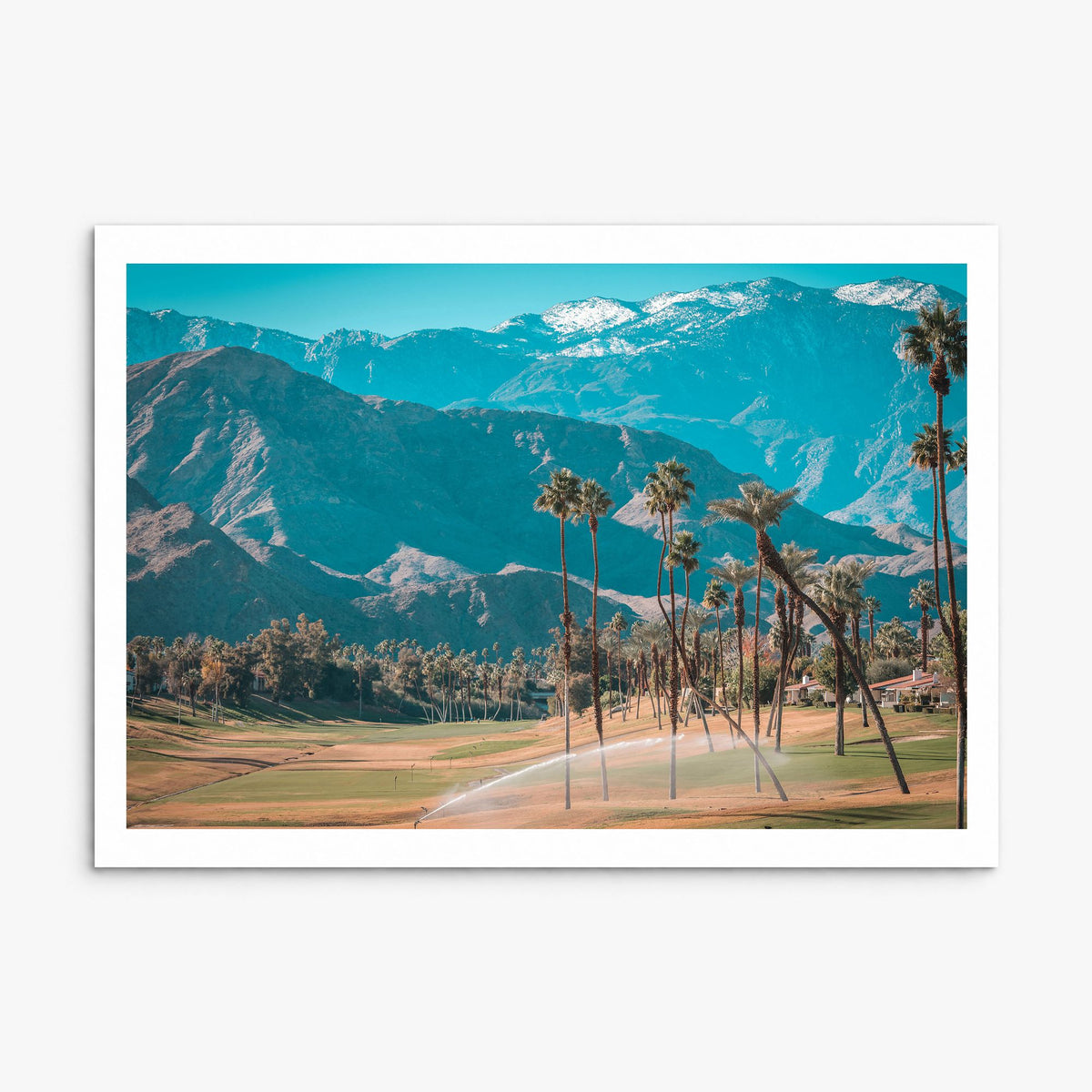 Palm Desert Photo Poster, print only (unframed), white border