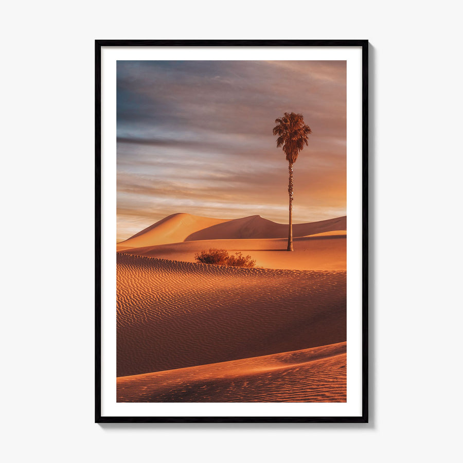 Palm Desert Photo Poster, framed poster mockup, white border