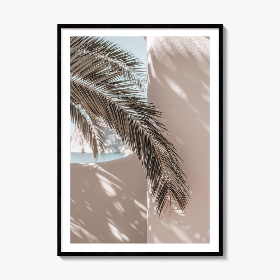Palm Leaf Shadow Photo Poster, framed poster mockup, white border