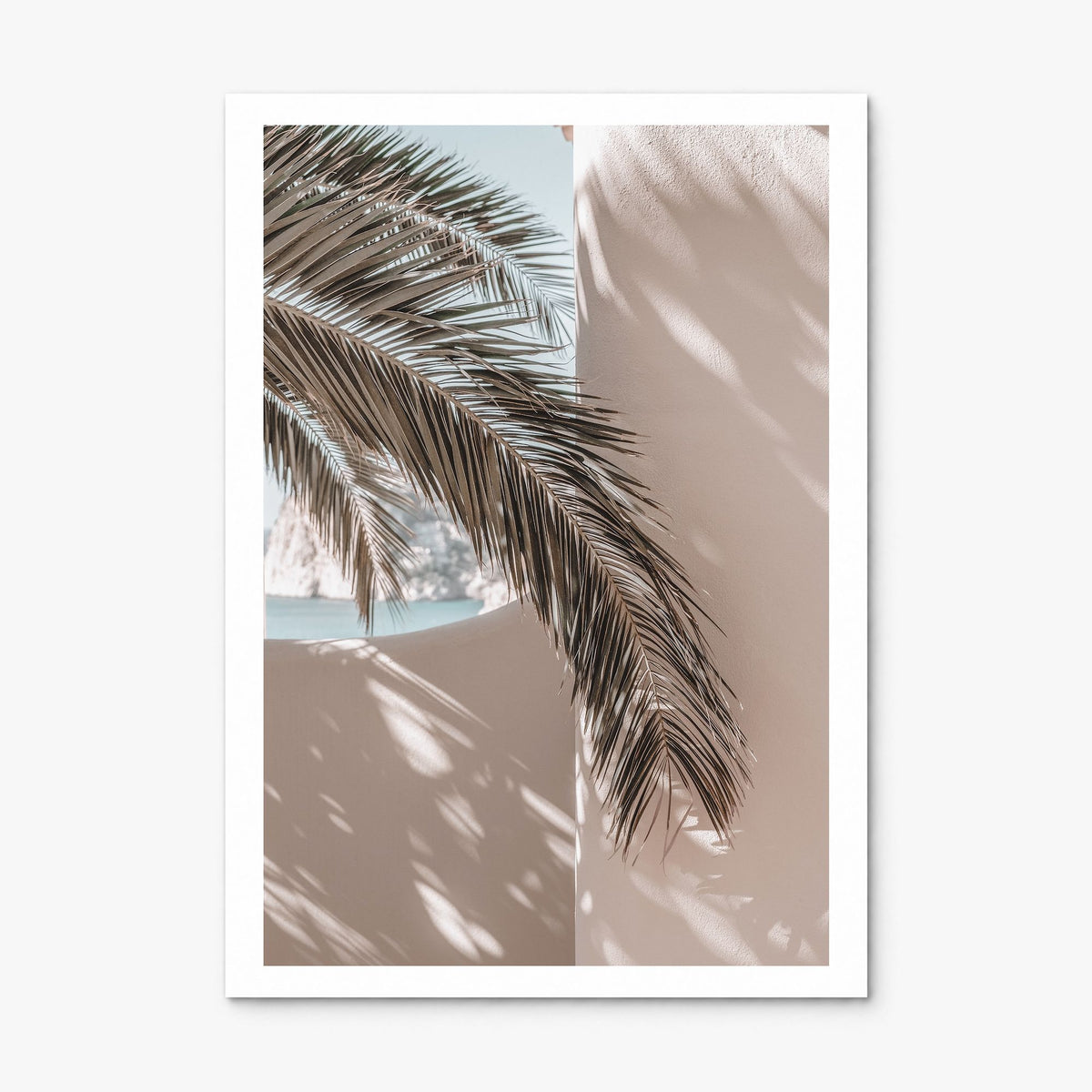 Palm Leaf Shadow Photo Poster, print only (unframed), white border