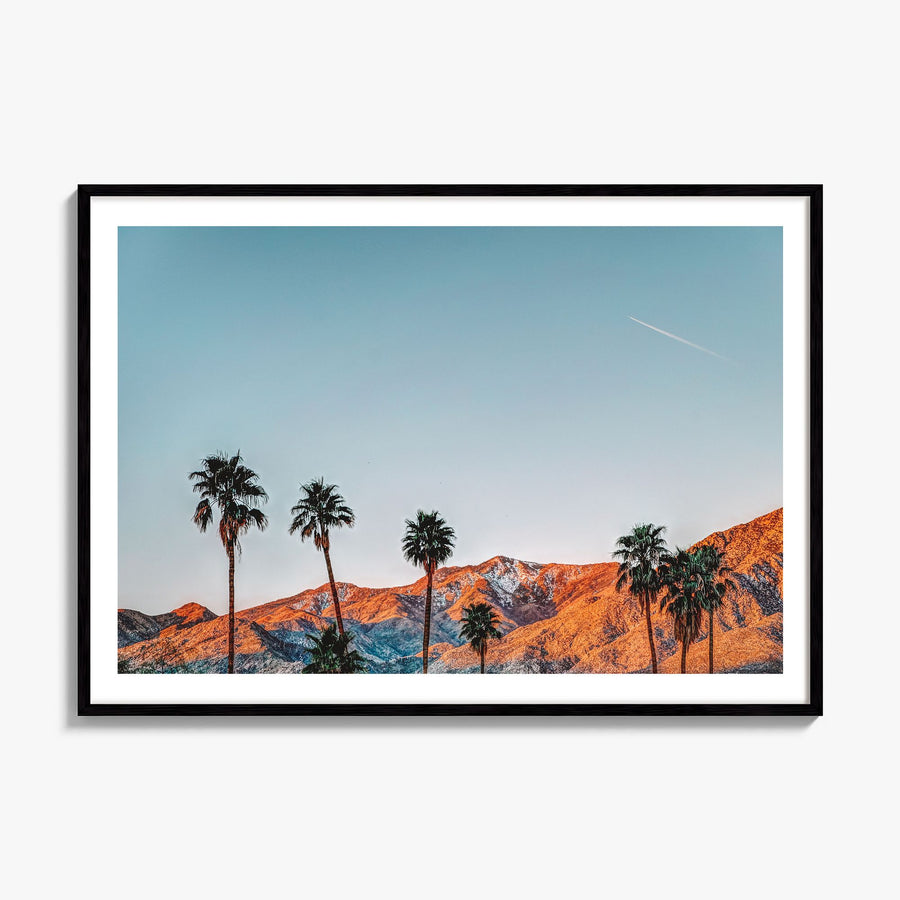 Palm Springs Photo Poster, framed poster mockup, white border