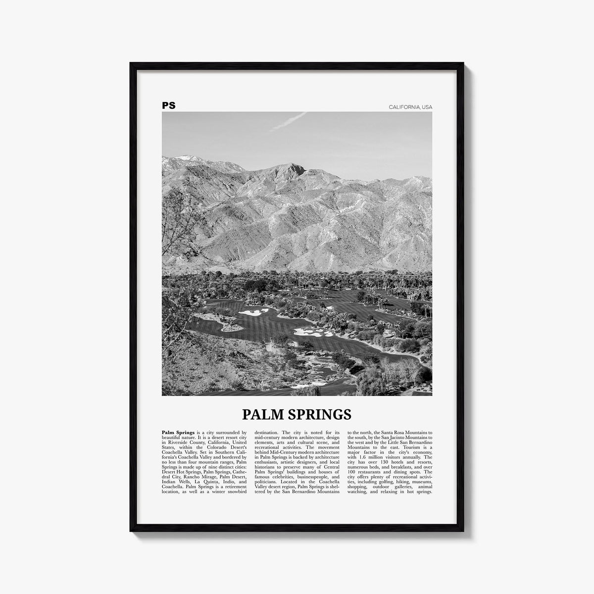 Palm Springs Newspaper No 3 Poster
